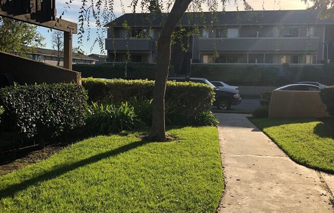1 bed, 1 bath, 665 sqft, $2,125, Unit 13