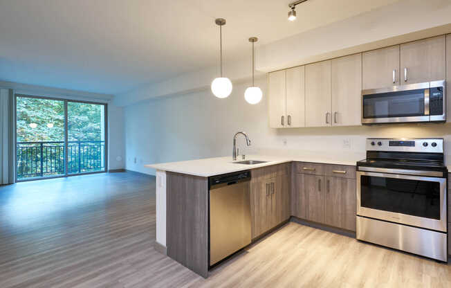 Kitchen and Living Area with Hard Surface Flooring