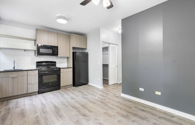 Studio, 1 bath, 242 sqft, $1,550, Unit 203