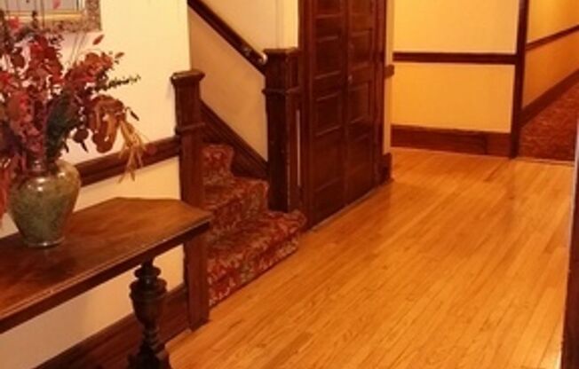 Villa Jene Apartments