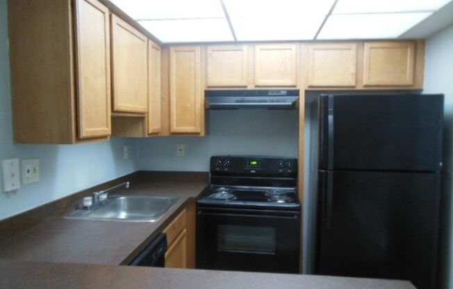 TWO BEDROOM TWO BATHROOM!! FULL LAKE VIEW!