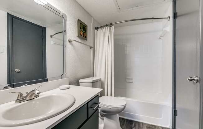 a bathroom with a shower toilet and sink