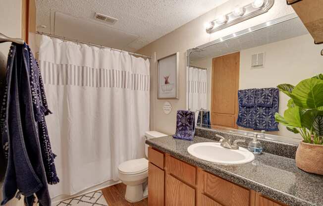 Bathroom With Vanity Lights at Bardin Oaks, Arlington