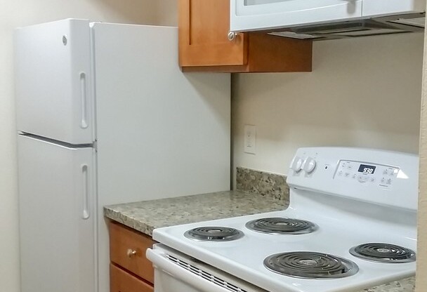 1 bed, 1 bath, 528 sqft, $1,495, Unit 207