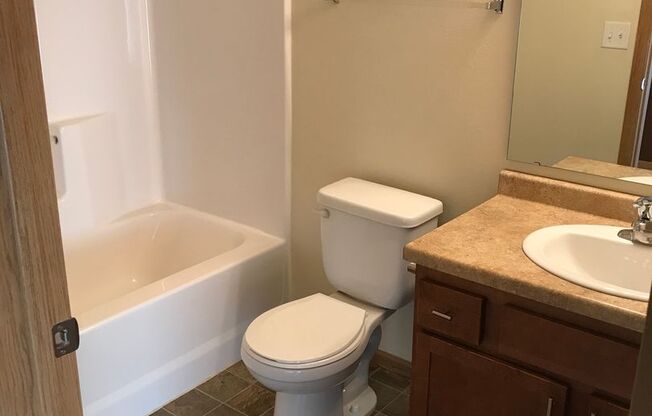 1 bed, 1 bath, 704 sqft, $1,045, Unit 5100-309