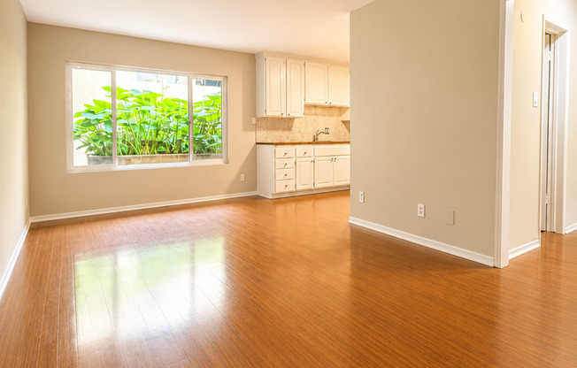 Studio, 1 bath, 550 sqft, $1,595, Unit 108