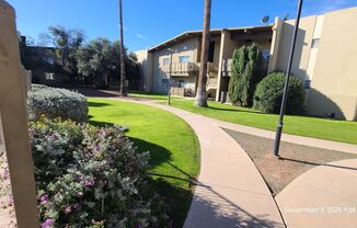 TUCSON - ROYAL ALVERNON