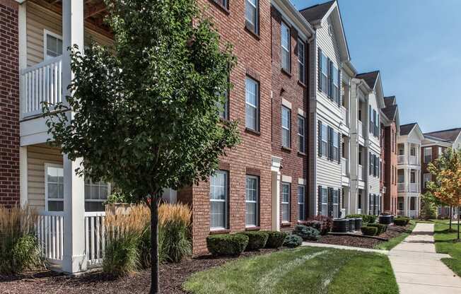 a brick apartment building with a tree in front of it