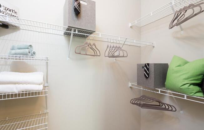 Large Walk-in Closet