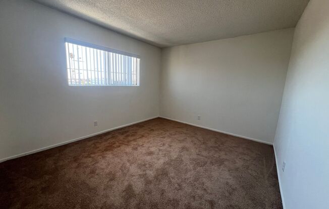 Spacious Studio - Renovated - Parking Available!