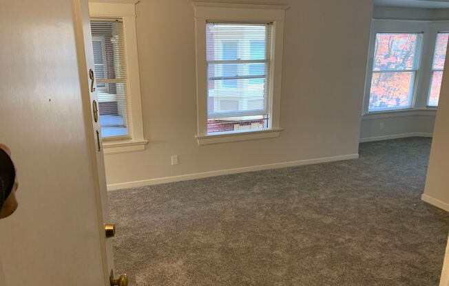 Studio, 1 bath, 322 sqft, $1,125, Unit 101