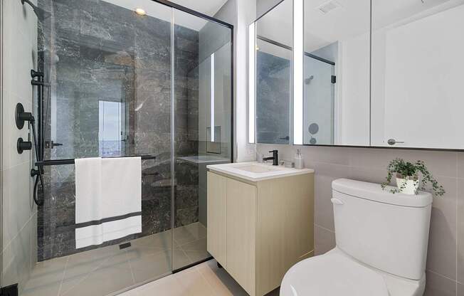a bathroom with a toilet and a sink and a shower at The Paxton, Brooklyn, NY