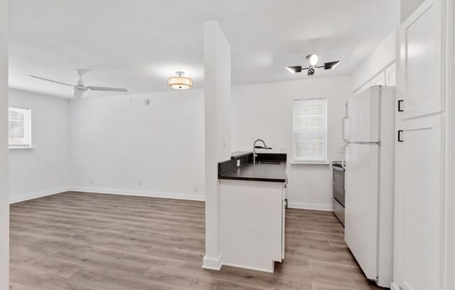 4103 Speedway, Unit 205