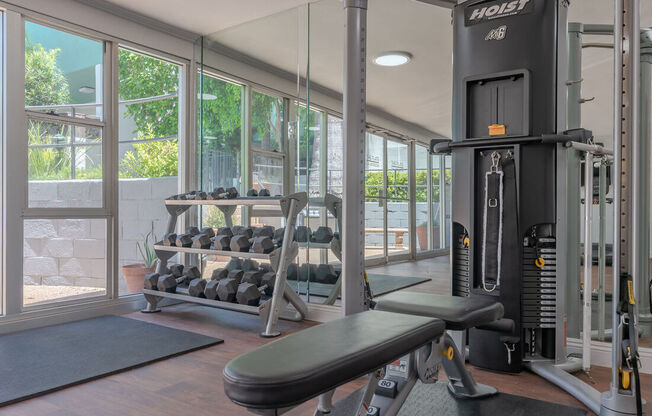 a gym with weights and cardio equipment and a window at The Flats on Addison, Sherman Oaks California