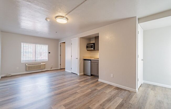 Studio, 1 bath, 331 sqft, $800, Unit 1