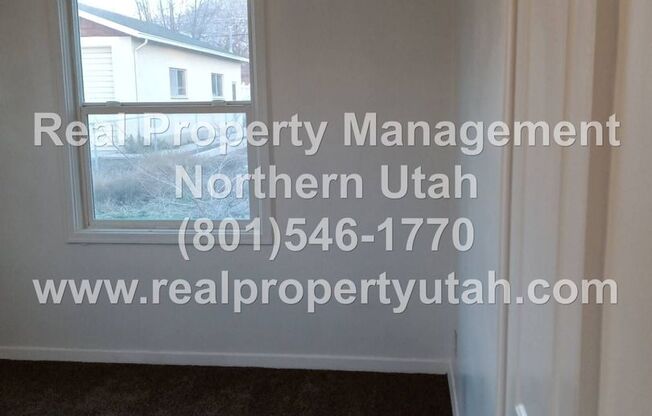 3 beds, 1 bath, $1,230