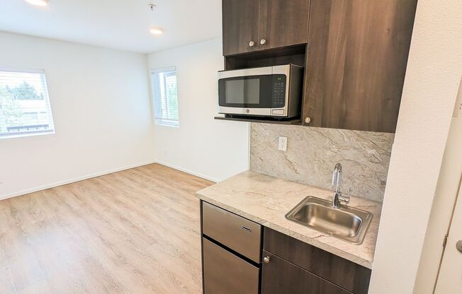 Studio, 1 bath, 186 sqft, $1,495, Unit 505