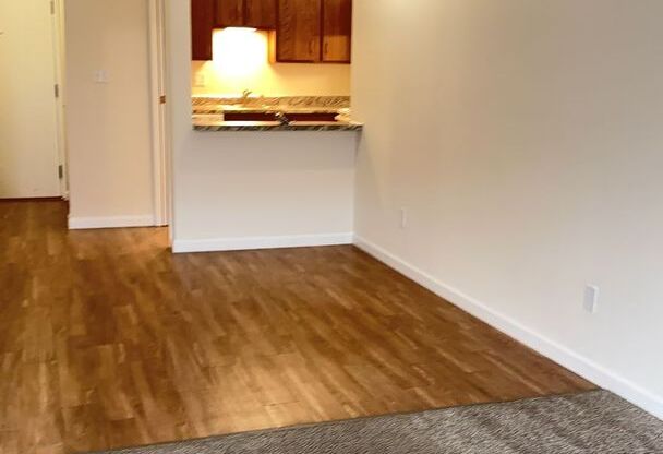1 bed, 1 bath, 600 sqft, $1,095, Unit 316