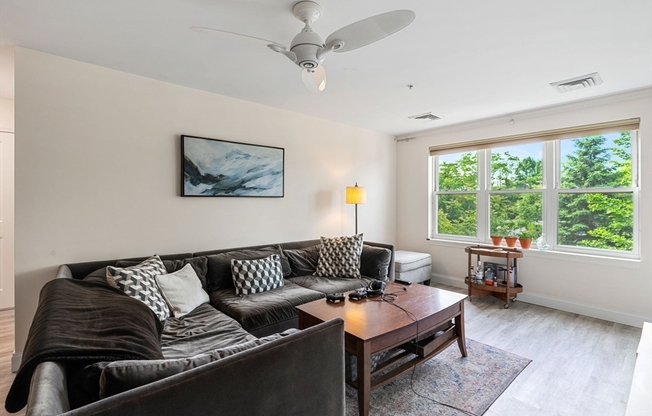2 beds, 2 baths, 1,170 sqft, $3,500, Unit 204