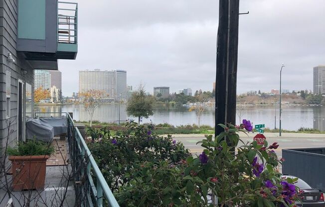 Studio, 1 bath, 400 sqft, $1,795, Unit 202