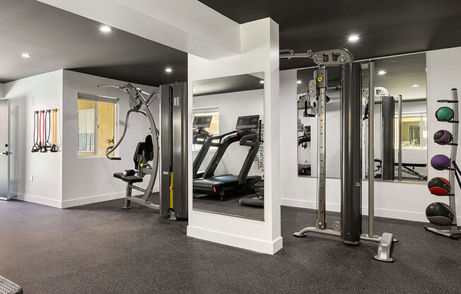 Brand-new fitness center with treadmills, machines, and free weights.