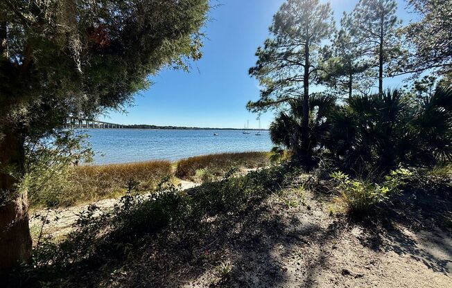 2 beds, 2 baths, $2,300, Unit Unit 1203