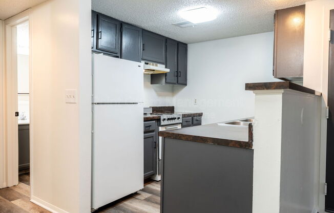 Studio, 1 bath, 384 sqft, $595, Unit 2110
