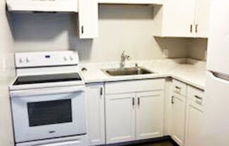 1 bed, 650 sqft, $800