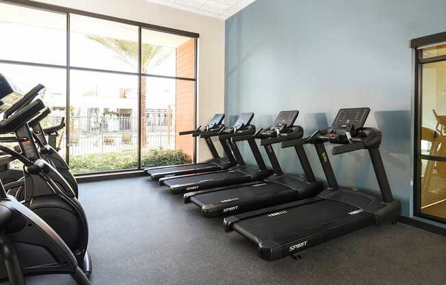 A row of treadmills are lined up in a gym.