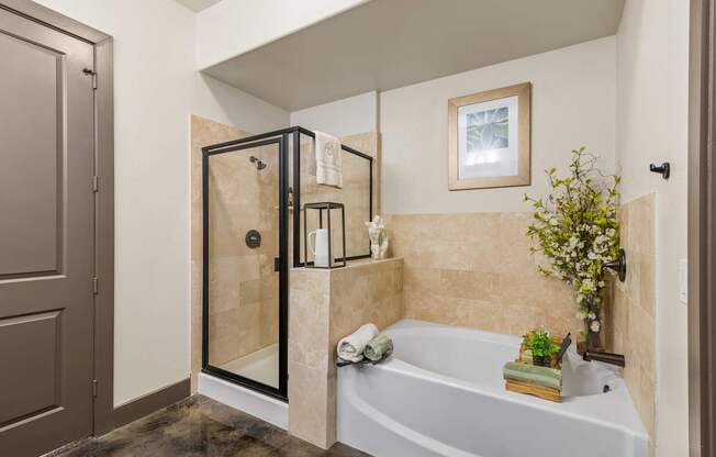 A bathroom with a tub, a shower, and a plant.