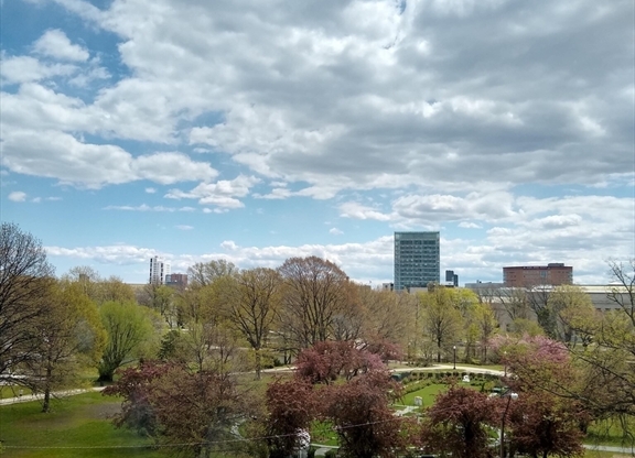 2 beds, 1 bath, $4,095, Unit 19