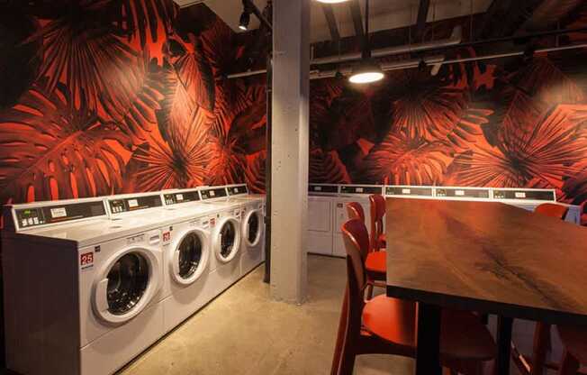 Laundry area with bold palm wallpaper at Archer Tower in Denver, CO