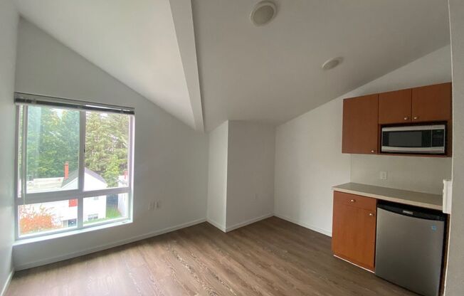 Studio, 1 bath, 175 sqft, $1,295, Unit 4501