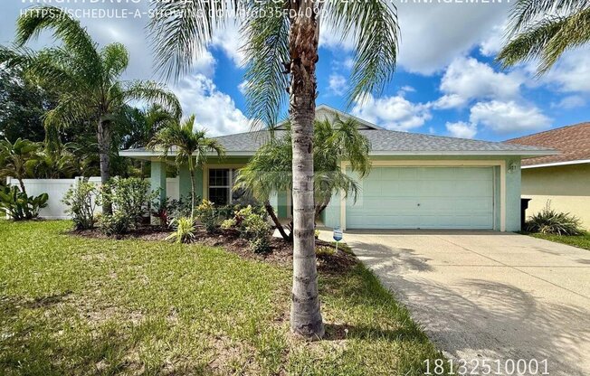 1914 PEACEFUL PALM