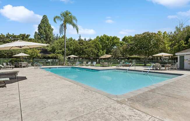 Swimming pool with umbrellas and chairs around it at Walnut Creek Manor Apartments in Walnut Creek, CA