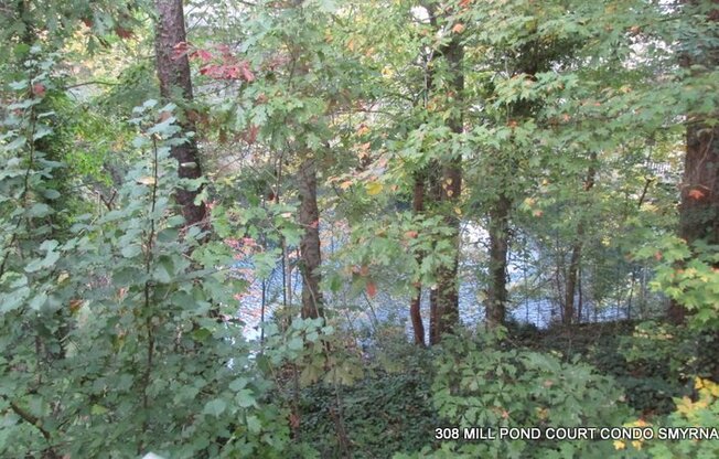 ENJOY THIS BEAUTIFUL CONDO NESTLED IN THE WOODS NEAR A FOUNTAIN WITH FAST/EASY ACCESS TO ATLANTA CITY LIFE,  DOWNTOWN AND THE AIRPORT!