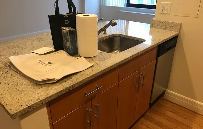 Studio, 1 bath, 460 sqft, $2,200