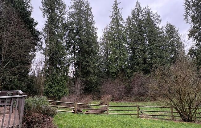 Beautiful MIL unit 2 bed 1 bath deck Nestled Squak and Cougar Mt (Issaquah)