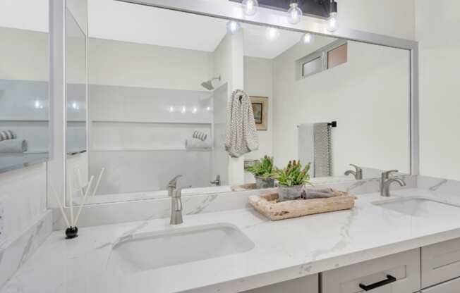 a bathroom with a sink and a mirror and a shower