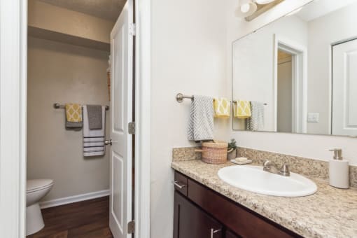 Bathroom at Palmetto Place Apartments, Taylors, 29687