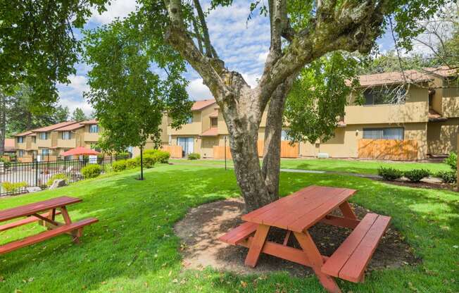 a picnic table under a tree in front of an apartment building