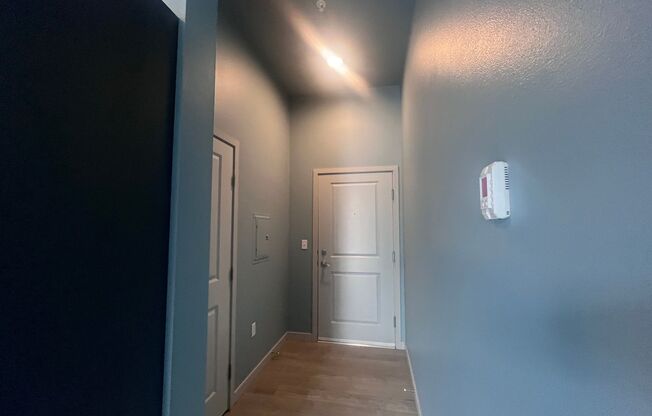 Studio, 1 bath, 238 sqft, $1,025, Unit 309 MFTE