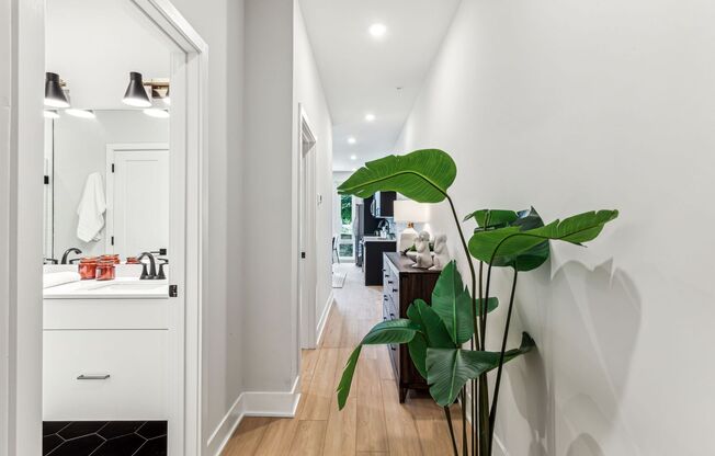1 bed, 1 bath, 675 sqft, $1,675, Unit 202