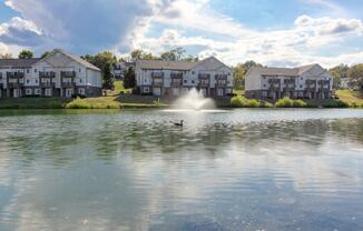 a duck swimming in a pond with an apartment building in the background