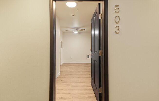 1 bed, 1 bath, 593 sqft, $1,845, Unit 503