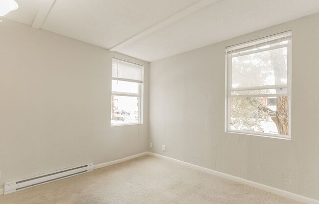 1 bed, 1 bath, 278 sqft, $1,595, Unit 206