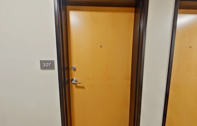 Studio, 1 bath, 261 sqft, $875, Unit 307