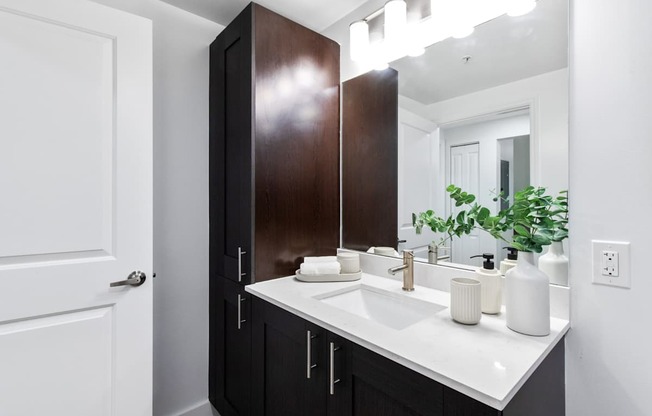 Oversized Vanity at One Plantation in Plantation, FL 33324