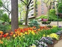 1 bed, 1 bath, 628 sqft, $2,650, Unit 11B