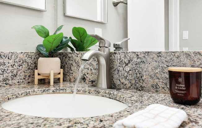 A bathroom sink with a faucet and a potted plant.
